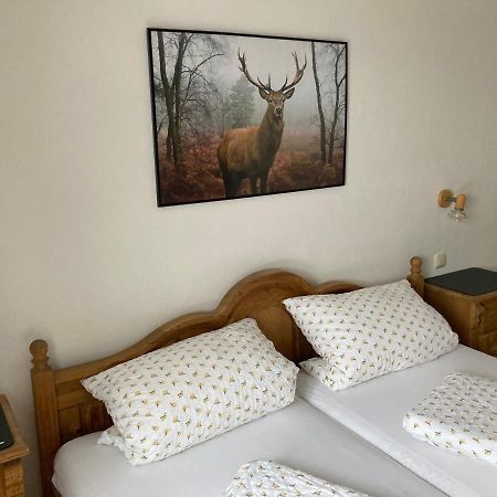 Ferienwohnung Sophia Grainau Ngoại thất bức ảnh